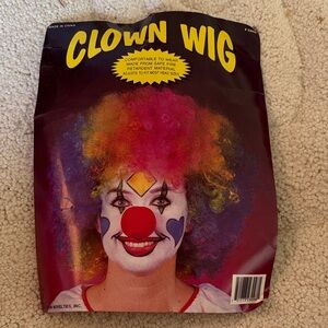 Rainbow  Clown Costume Wig and red nose